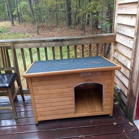 Rustic Quaint Cabin In The Woods--Pets Welcomed Dunnsville Luaran gambar